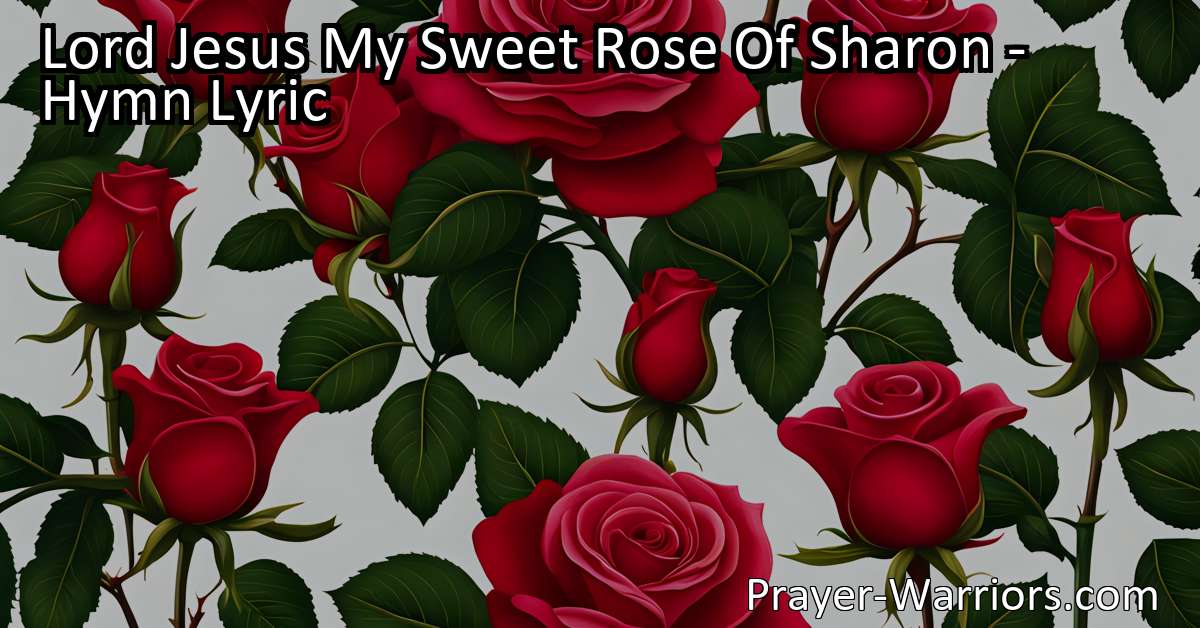 Lord Jesus My Sweet Rose Of Sharon Hymn Lyric Bible Warriors