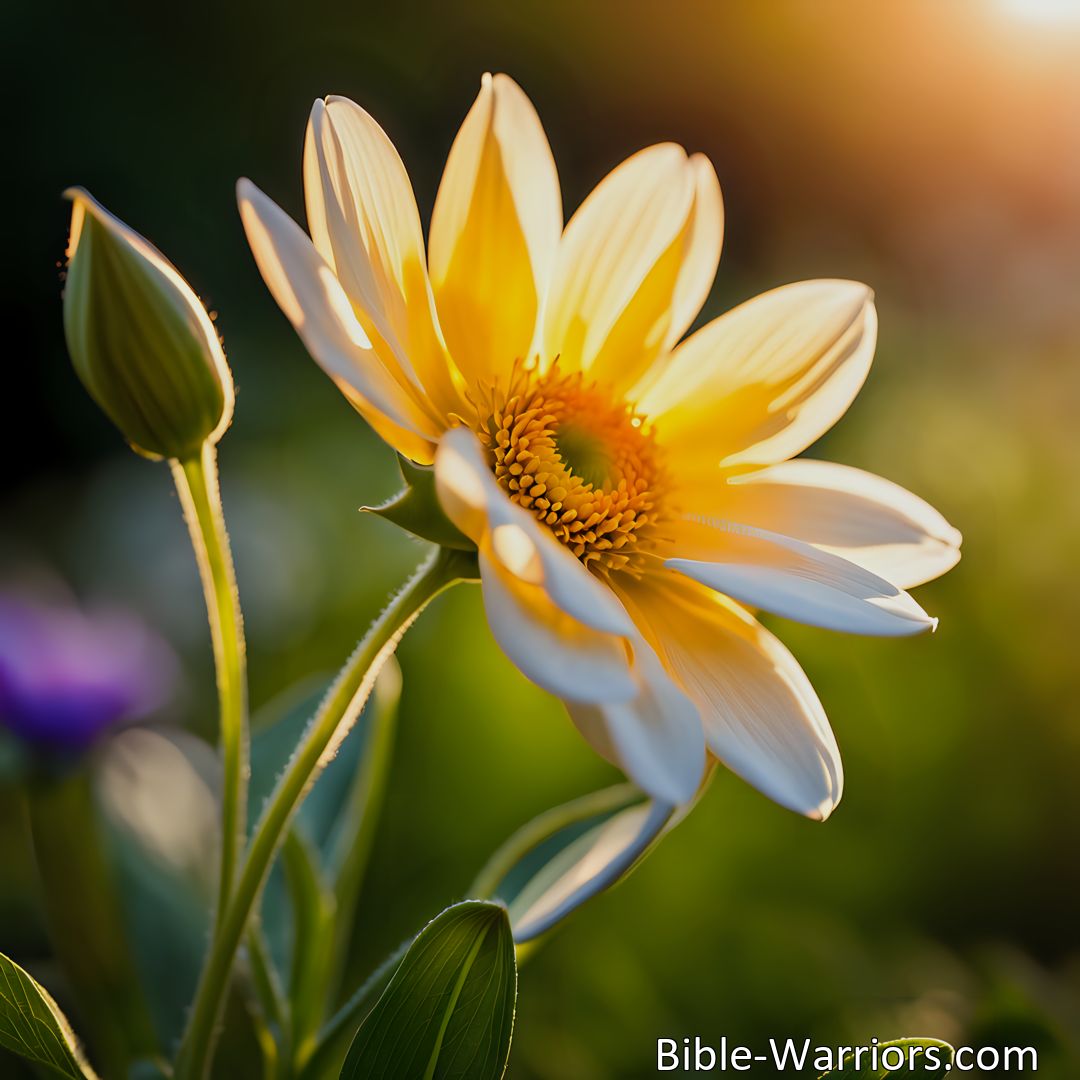 Freely Shareable Hymn Inspired Image Find solace and comfort in life's transient moments with So Fades The Lovely Blooming Flower. Embrace the beauty of the fleeting and discover everlasting solace.